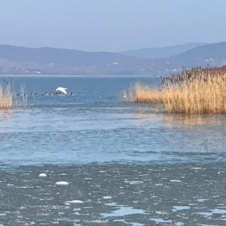 Topart I Balatonfenyves