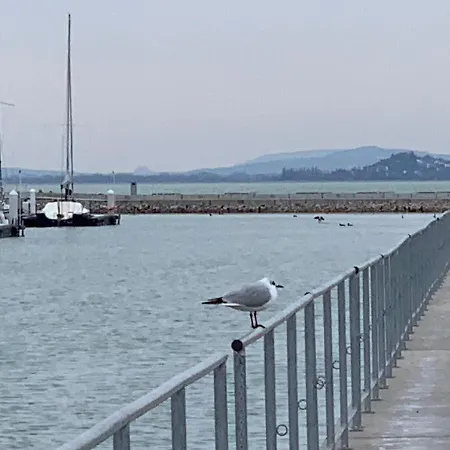 Topart I * Balatonfenyves