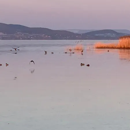 Daire Topart I Balatonfenyves