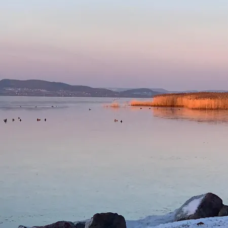 Topart I Balatonfenyves