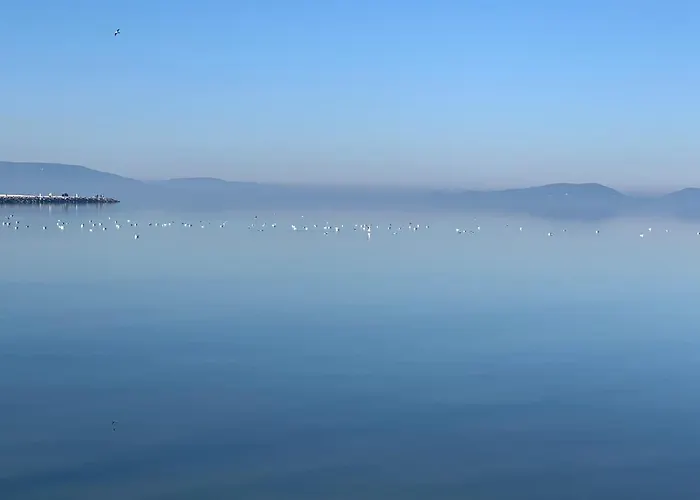 Topart I Апартаменты *