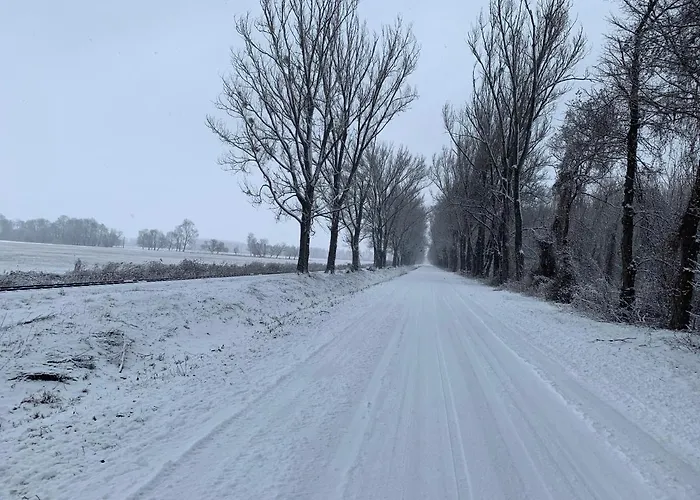 Topart I * Балатонфеньвеш