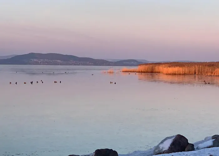 Topart I Балатонфеньвеш